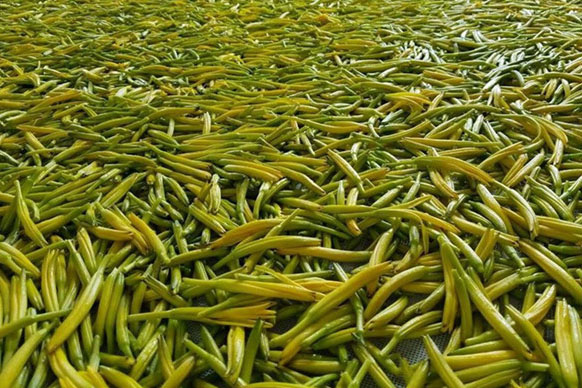 無(wú)硫金針菜烘干如何保持品相？不發(fā)黑？