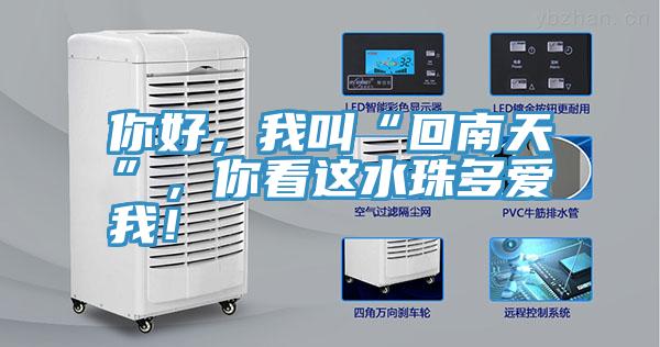 你好，我叫“回南天”，你看這水珠多愛我！