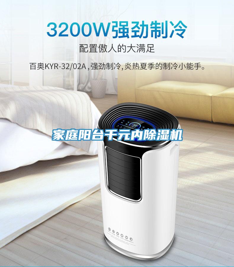 家庭陽(yáng)臺(tái)千元內(nèi)除濕機(jī)