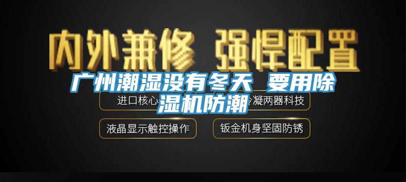 廣州潮濕沒有冬天 要用除濕機(jī)防潮