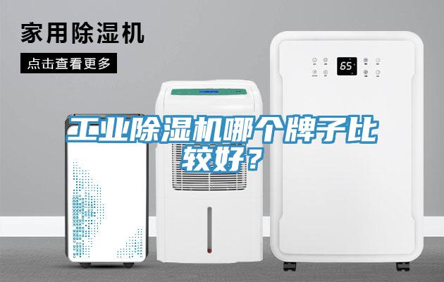 工業(yè)除濕機(jī)哪個(gè)牌子比較好？