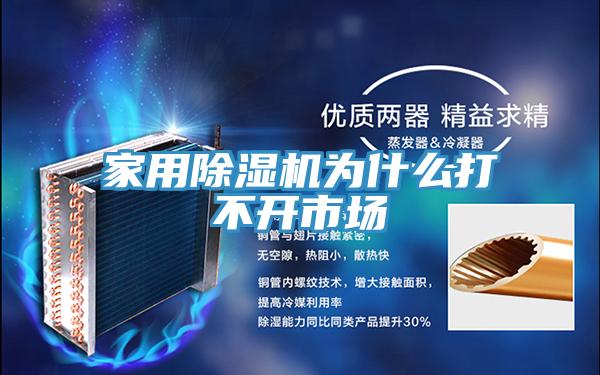 家用除濕機(jī)為什么打不開市場(chǎng)