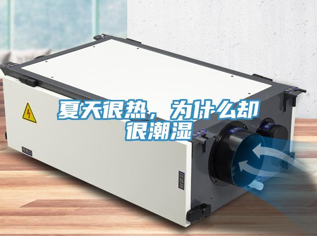夏天很熱，為什么卻很潮濕