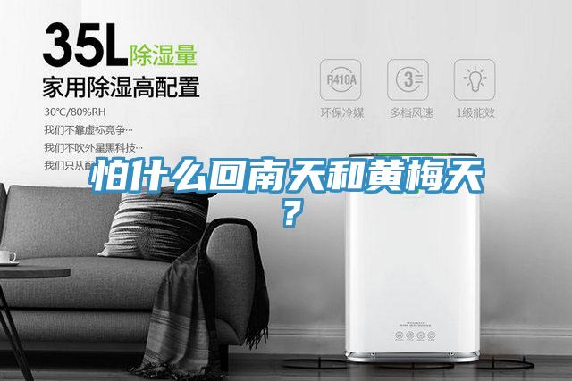 怕什么回南天和黃梅天？