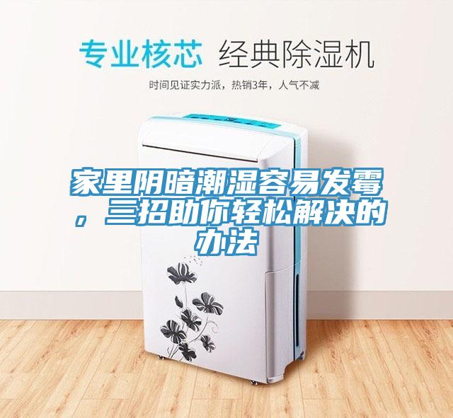 家里陰暗潮濕容易發(fā)霉，三招助你輕松解決的辦法