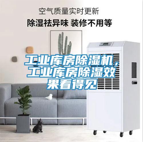 工業(yè)庫房除濕機，工業(yè)庫房除濕效果看得見