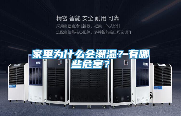 家里為什么會潮濕？有哪些危害？