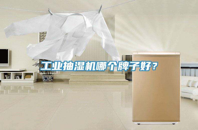 工業(yè)抽濕機哪個牌子好？
