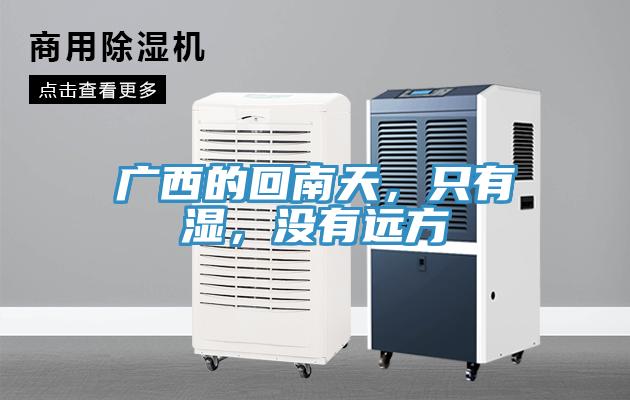 廣西的回南天，只有濕，沒有遠(yuǎn)方