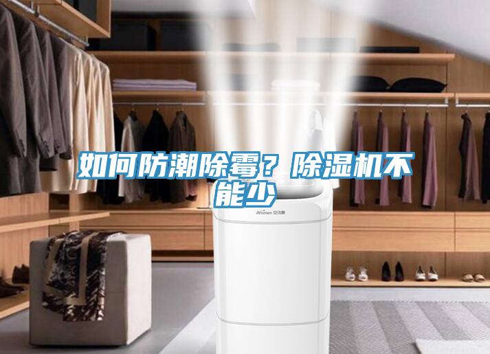 如何防潮除霉？除濕機不能少