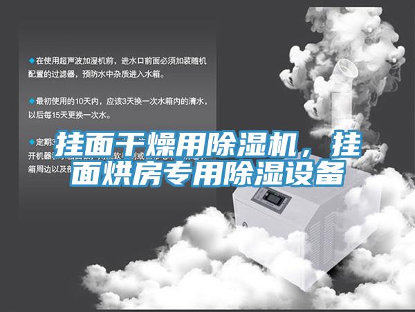 掛面干燥用除濕機，掛面烘房專用除濕設(shè)備