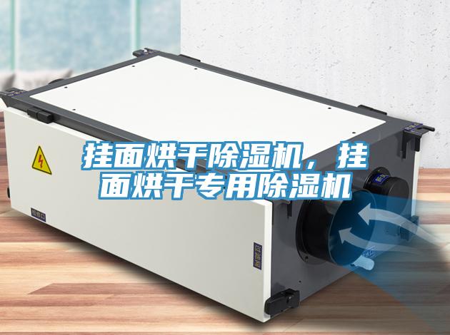 掛面烘干除濕機，掛面烘干專用除濕機