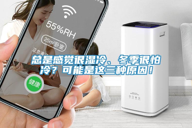 總是感覺很濕冷、冬季很怕冷？可能是這三種原因！