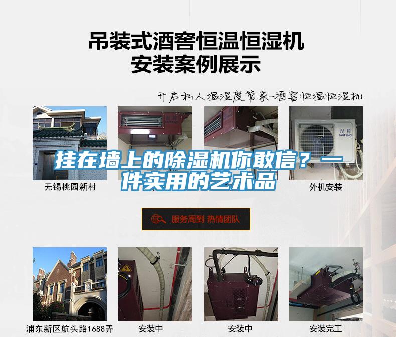 掛在墻上的除濕機你敢信？一件實用的藝術(shù)品