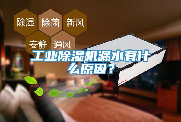 工業(yè)除濕機(jī)漏水有什么原因？