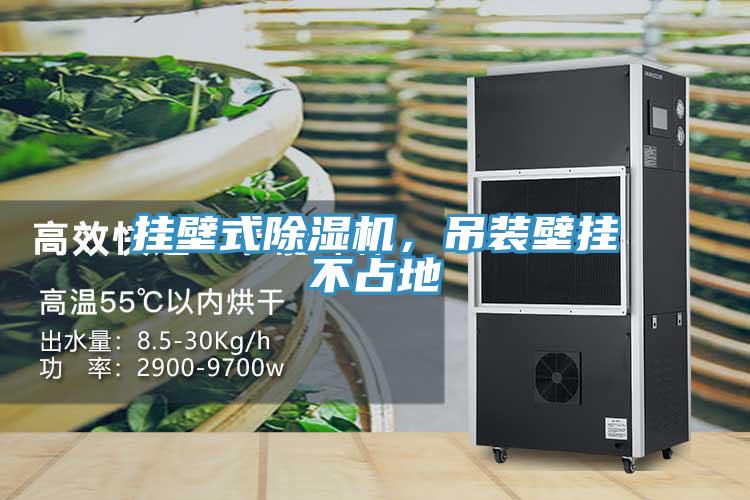 掛壁式除濕機，吊裝壁掛不占地