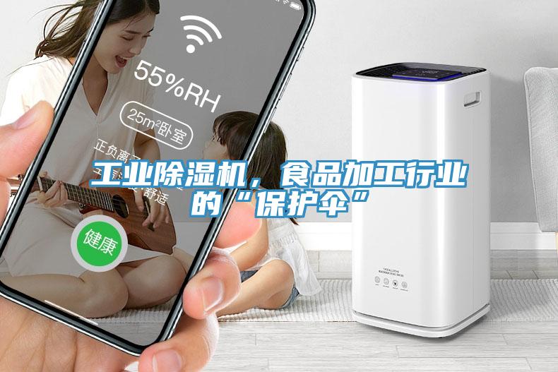 工業(yè)除濕機(jī)，食品加工行業(yè)的“保護(hù)傘”