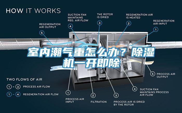 室內(nèi)潮氣重怎么辦？除濕機(jī)一開(kāi)即除