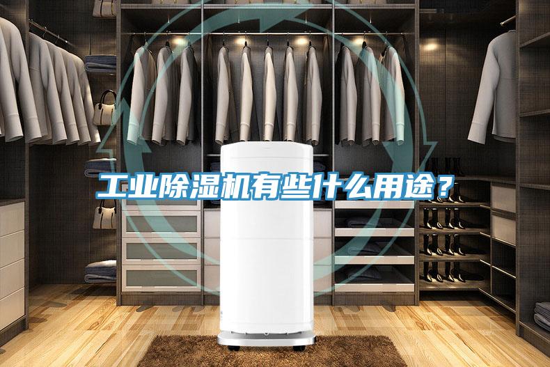 工業(yè)除濕機(jī)有些什么用途？