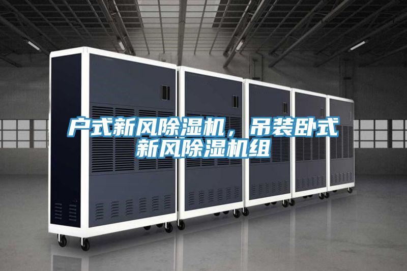 戶式新風除濕機，吊裝臥式新風除濕機組