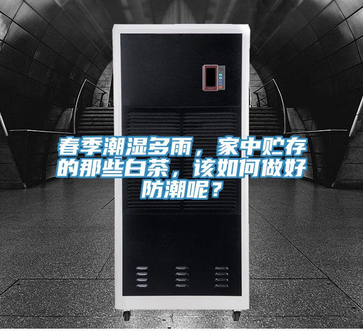 春季潮濕多雨，家中貯存的那些白茶，該如何做好防潮呢？
