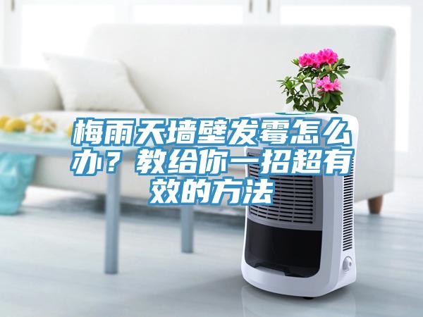 梅雨天墻壁發(fā)霉怎么辦？教給你一招超有效的方法