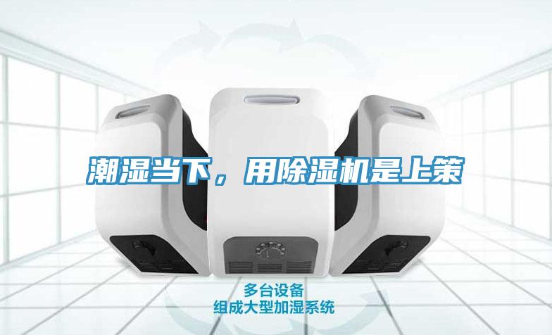 潮濕當(dāng)下，用除濕機(jī)是上策