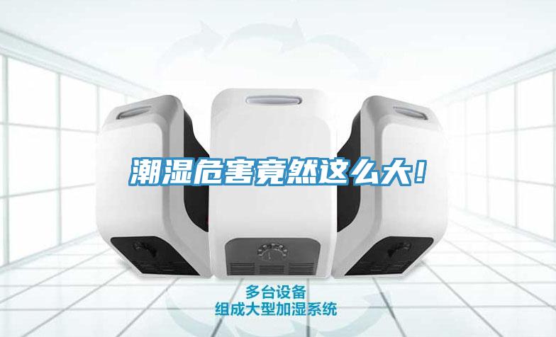 潮濕危害竟然這么大！