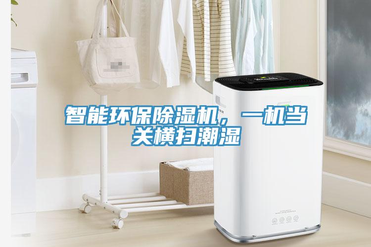智能環(huán)保除濕機(jī)，一機(jī)當(dāng)關(guān)橫掃潮濕