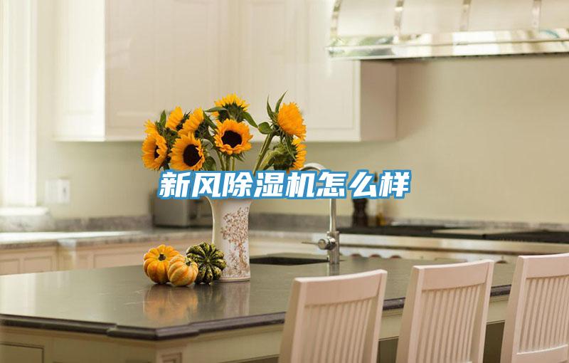 新風(fēng)除濕機(jī)怎么樣