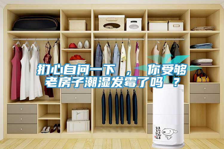 捫心自問一下 ， 你受夠老房子潮濕發(fā)霉了嗎 ？