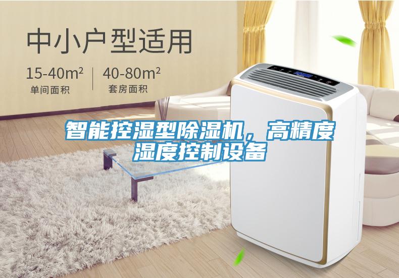 智能控濕型除濕機(jī)，高精度濕度控制設(shè)備