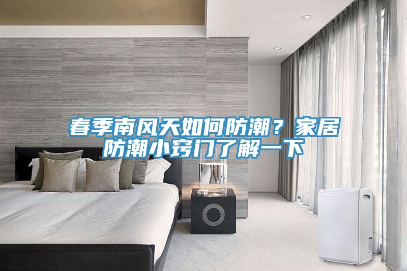 春季南風天如何防潮？家居防潮小竅門了解一下