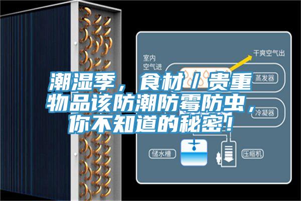 潮濕季，食材／貴重物品該防潮防霉防蟲(chóng)，你不知道的秘密！