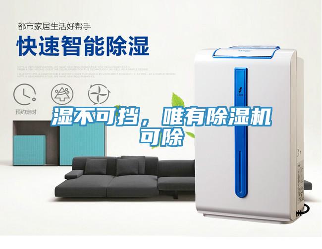 濕不可擋，唯有除濕機(jī)可除