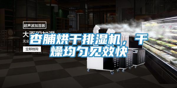 杏脯烘干排濕機(jī)，干燥均勻見(jiàn)效快