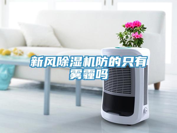 新風(fēng)除濕機(jī)防的只有霧霾嗎