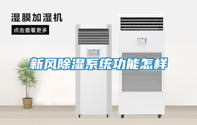 新風(fēng)除濕系統(tǒng)功能怎樣