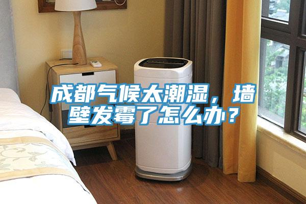 成都?xì)夂蛱睗瘢瑝Ρ诎l(fā)霉了怎么辦？