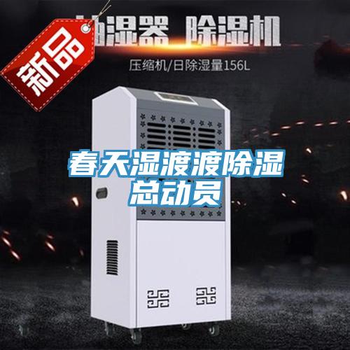 春天濕渡渡除濕總動員
