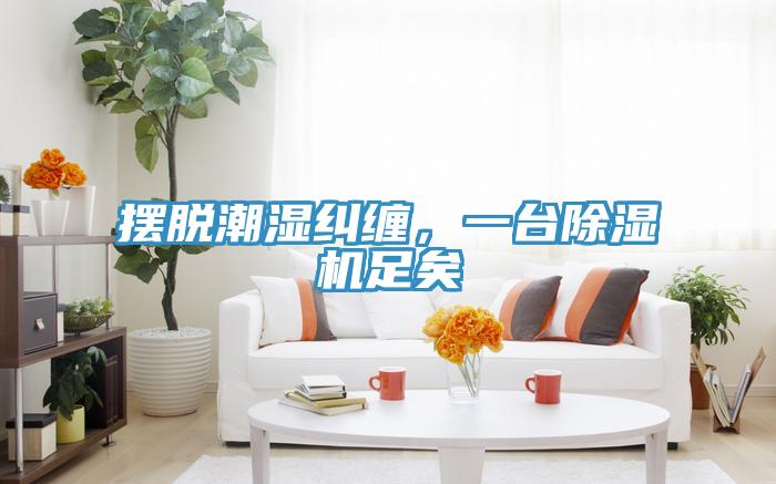擺脫潮濕糾纏，一臺除濕機(jī)足矣