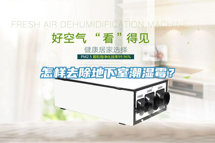 怎樣去除地下室潮濕霉？