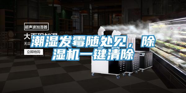 潮濕發(fā)霉隨處見，除濕機(jī)一鍵清除