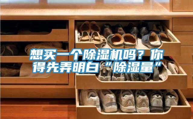 想買一個(gè)除濕機(jī)嗎？你得先弄明白“除濕量”