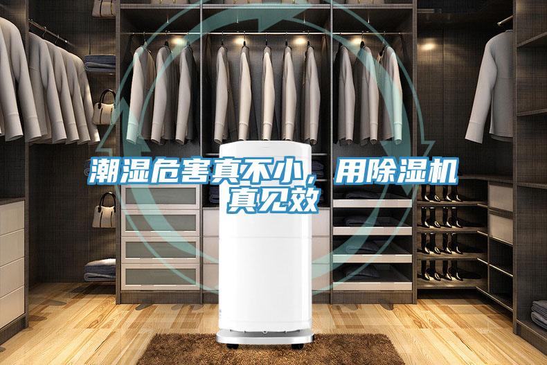 潮濕危害真不小，用除濕機(jī)真見效