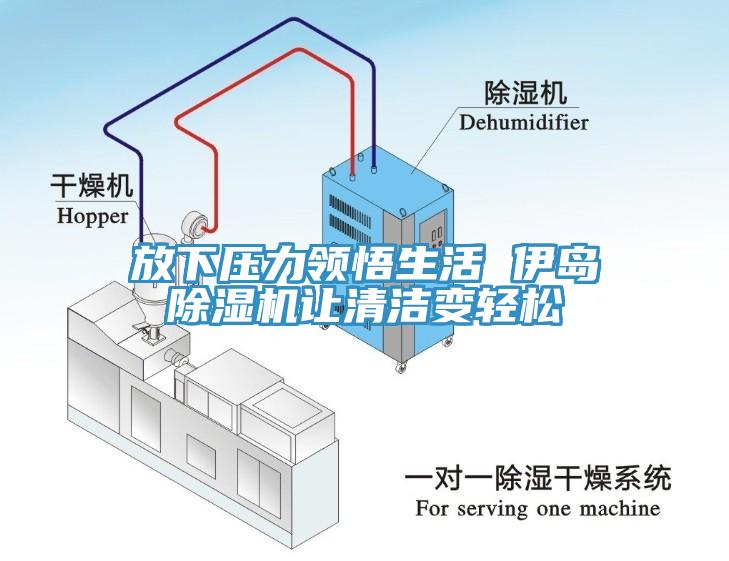 放下壓力領(lǐng)悟生活 伊島除濕機讓清潔變輕松