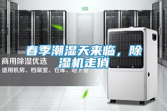 春季潮濕天來臨，除濕機(jī)走俏