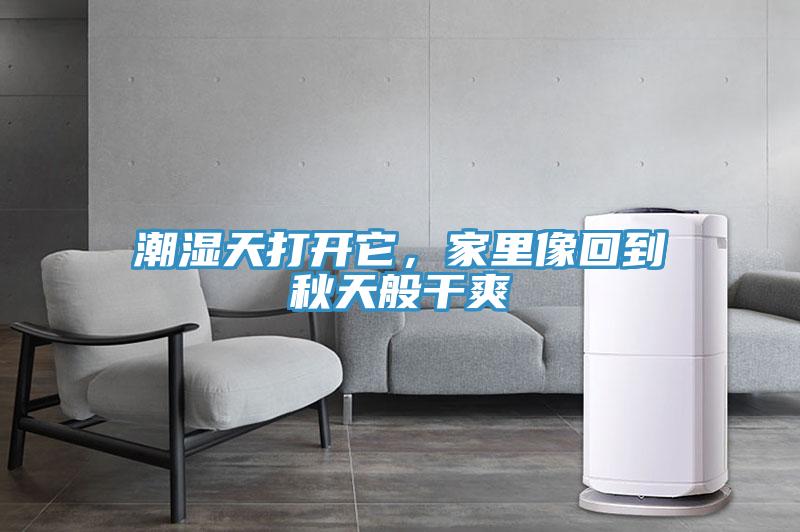潮濕天打開它，家里像回到秋天般干爽