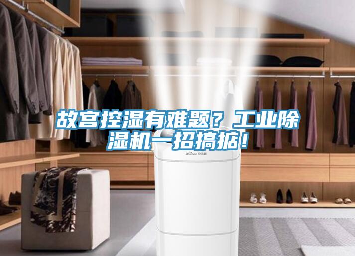 故宮控濕有難題？工業(yè)除濕機(jī)一招搞掂！