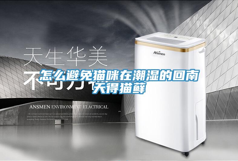 怎么避免貓咪在潮濕的回南天得貓?zhí)\